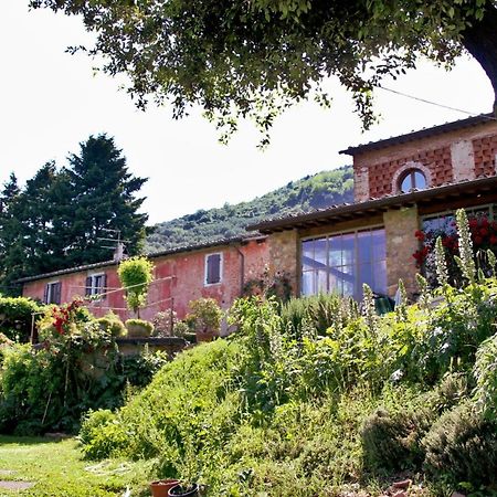 Casa Gaia Konuk evi Lucca Dış mekan fotoğraf