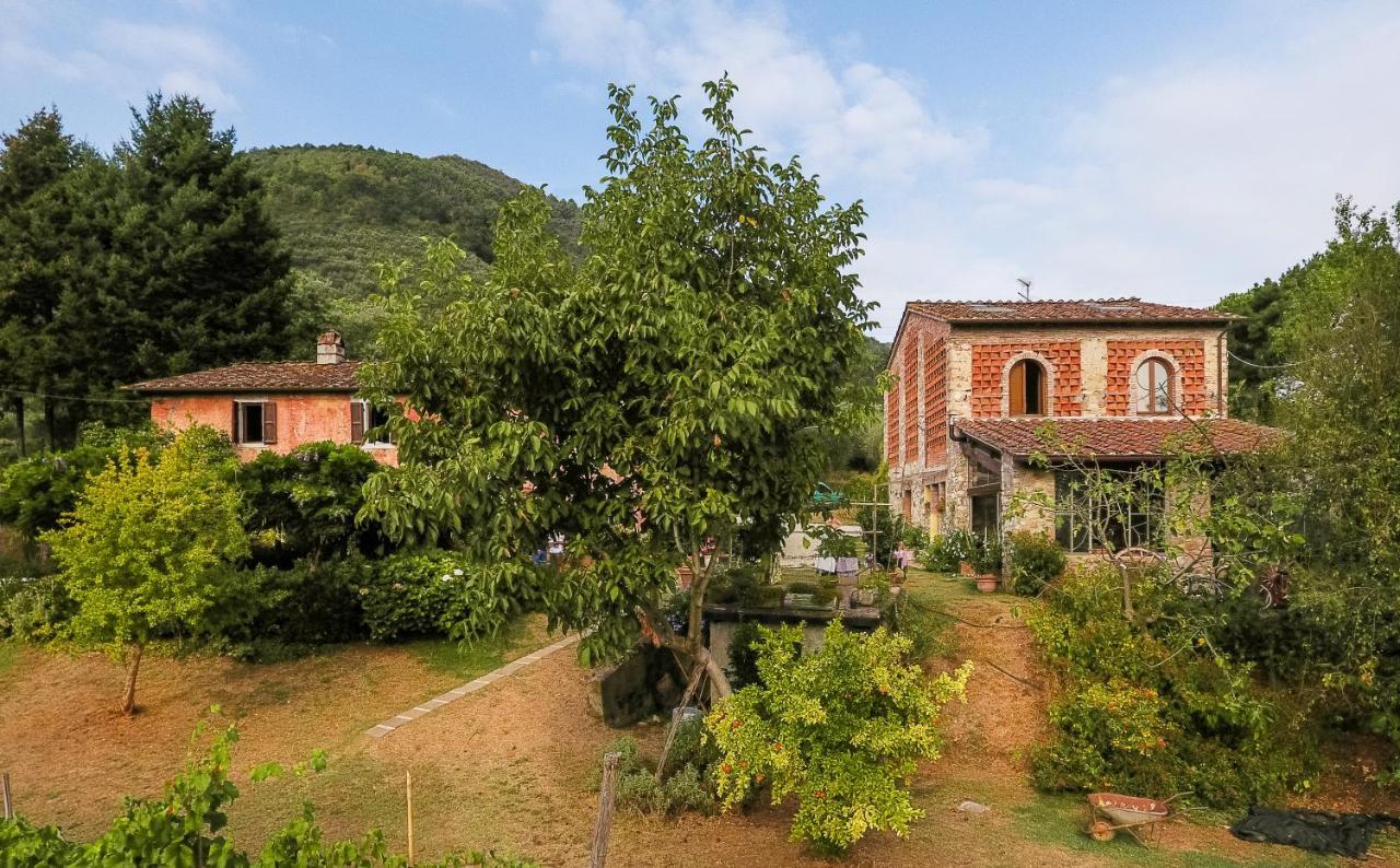 Casa Gaia Konuk evi Lucca Dış mekan fotoğraf