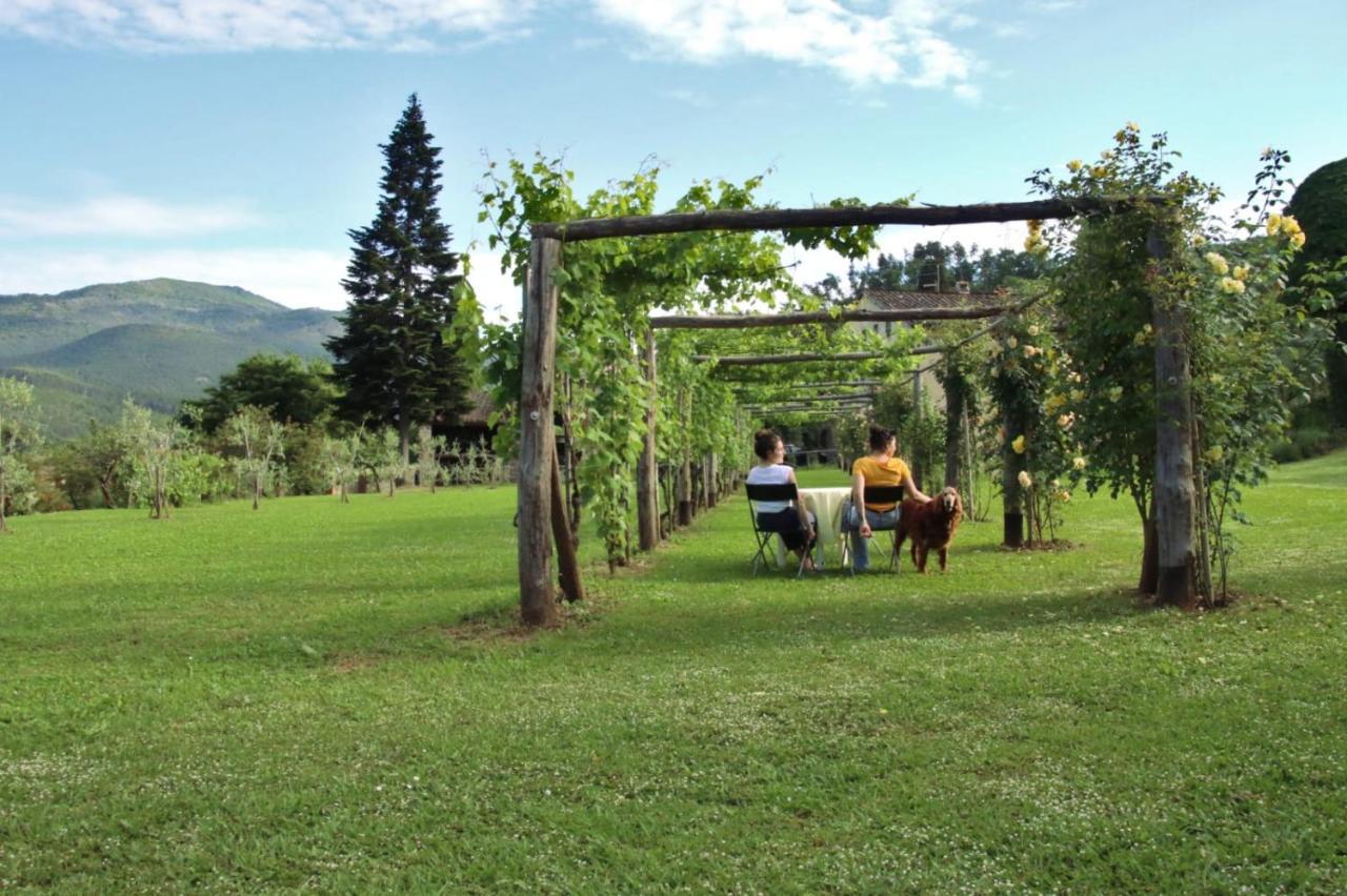 Casa Gaia Konuk evi Lucca Dış mekan fotoğraf